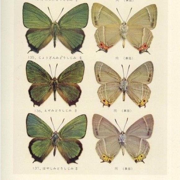 scapi2